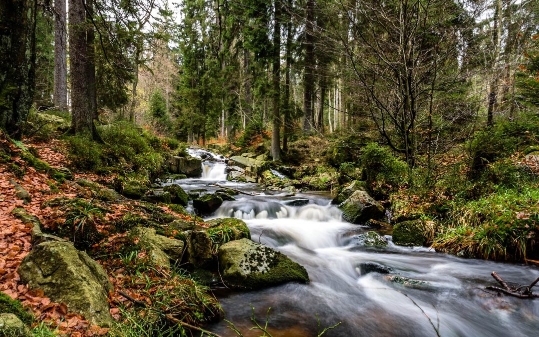 Flow: tussen bore-out en burnout