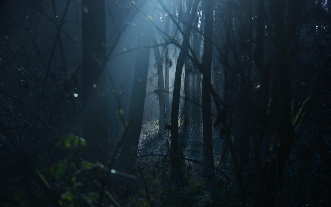 Je eigen pad bevindt zich op de donkerste plek van het bos