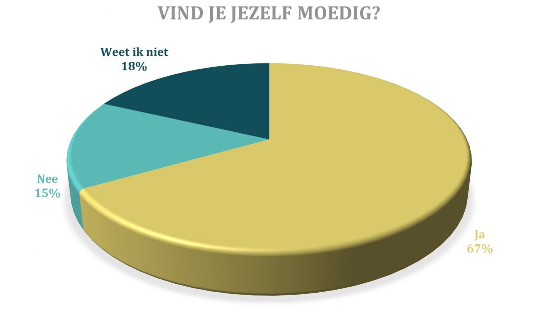 Onderzoek naar moed